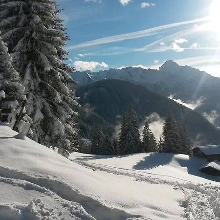 Veronika Schweiberer Apartment Ramsau im Zillertal